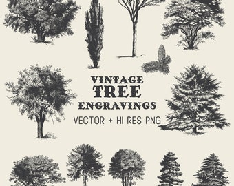 Tree Clipart Vector Pack - Vintage Hand Drawn Tree Engraving Clipart Clip Art PNG & Vector EPS, AI Design Elements Digital Instant Download