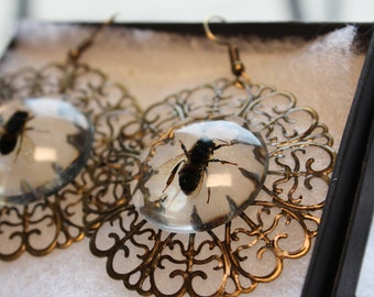 Honey Bee Chandelier Earrings