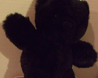Black Stuffed Bear