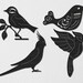 Bird on Branch, Cardinal, Cocktail and Ornaments Bird-DXF files cut ready for cnc machines, laser cutting and plasma cutting