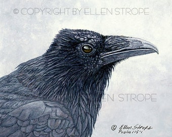 NOTE CARD, Ravens, bird decor, note cards, Ellen Strope, castteam, home decor,bird cards, wildlife, birds, bird art