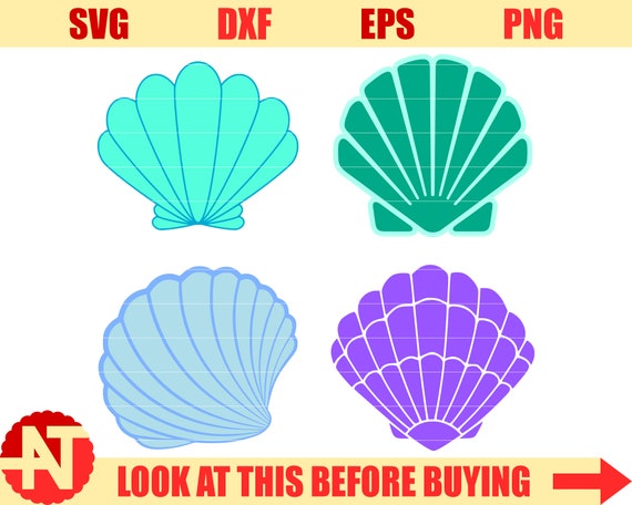 Mermaid Shell SVG Shell SVG Mermaid Clam Svg Summer SVG Little