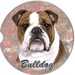 Bulldog Car Coaster. Made from super adsorbent sandstone material to protect your vehicle from beverage spills and condensation.