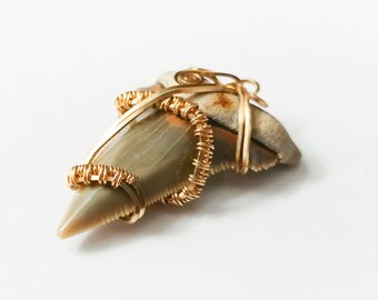 Fossilized Shark Tooth Wire Wrapped Pendant