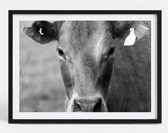 B&W Cow | Fine Art Photography Print | Cow Photography | Animal Photography | Cow Poster Print | Cow Art Print