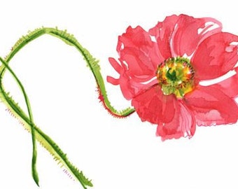 Curtsy Poppy - original painting
