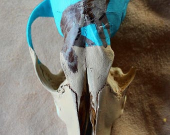 Coyote rattle - hand-painted real painted coyote skull totem rattle for rituals, music and more