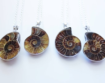Ammonite Fossil Silver Focal Pendant Necklace
