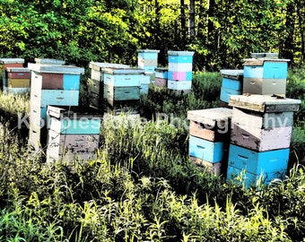 Morning sun beehives photography, Beehive print, Nature photography, Colorful beehives prints