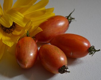 Pink Tiger Tomato Seeds