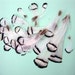 30pcs Lady Amherst pheasant feathers