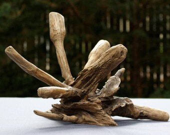 Driftwood Art Work, Driftwood Home Decor, Driftwood Art
