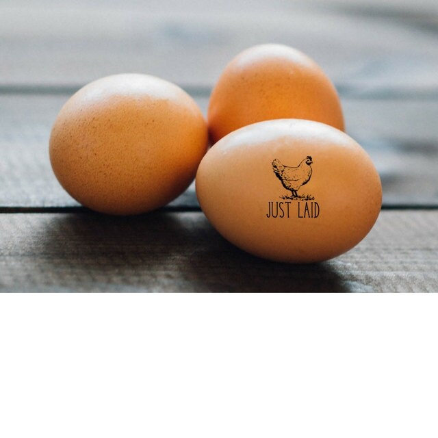 NUR gelegt Ei Stempel benutzerdefinierte Stempel für Eier