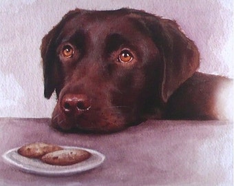 Chocolate Labrador: The Opportunist