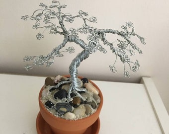 Silver Seaside Bonsai Tree