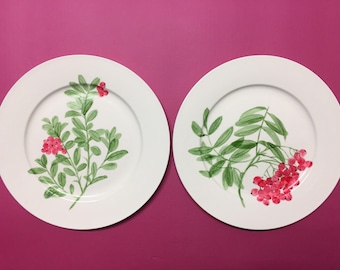 Hand painted Porcelain plates