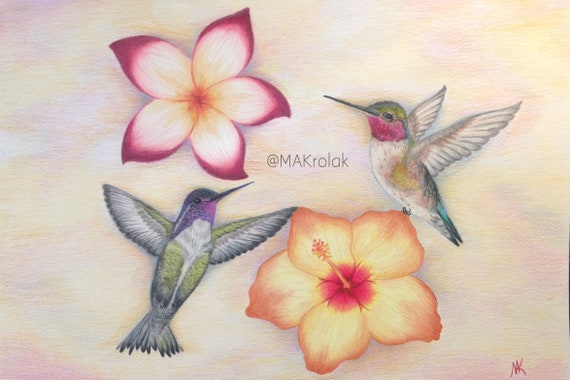 Art Drawing Hummingbird Birds Flowers The Blooms