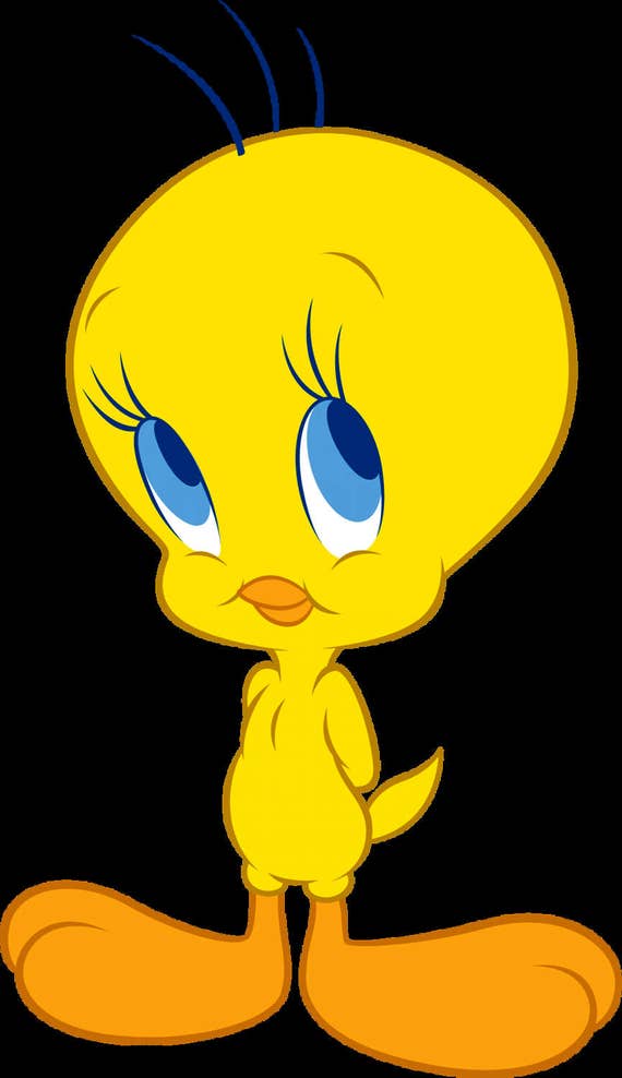 What Kind Of Bird Is Tweety Bird What Kind Of Bird Is Tweety Bird