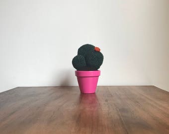 Crochet Cactus/Home Decor/Creative Space/Interior Decor by MrFunky