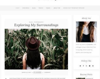 Premium wordpress responsive theme