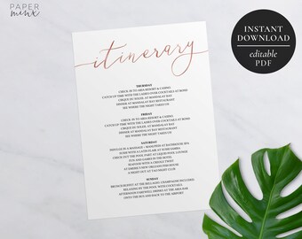 Printable Itinerary Template | Editable | Weekend Itinerary | Hens Party | Bachelorette | Birthday Weekend | Rose Gold and White Itinerary