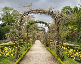 Paris photography, Paris in color, Paris spring garden, French garden, French wall art, Paris decor, home decor, fine art print