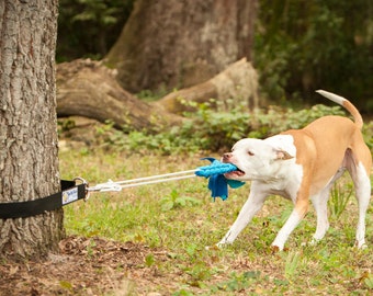 Super Tug - Strong Dog Toy - Safe Alternative to Spring Pole or Rope