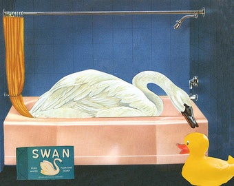Bird bath. Limited edition collage print byVivienne Strauss.