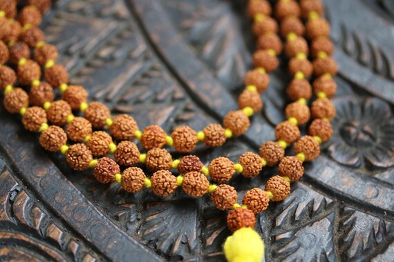 Image result for lord shiva rudraksha mala