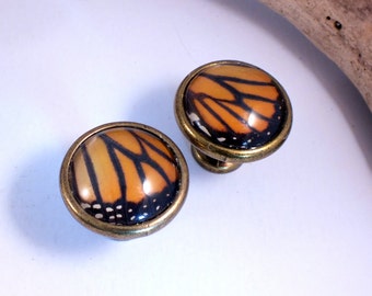 Statement Real Monarch Butterfly Wing drawer knobs, set of 2 - Brown, White and Black
