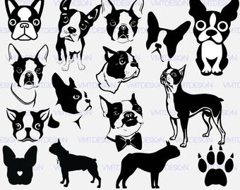 Boston Terrier svg - Boston Terrier vector - Boston Terrier digital clipart for Design or more, files downlad eps, svg, jpg, png