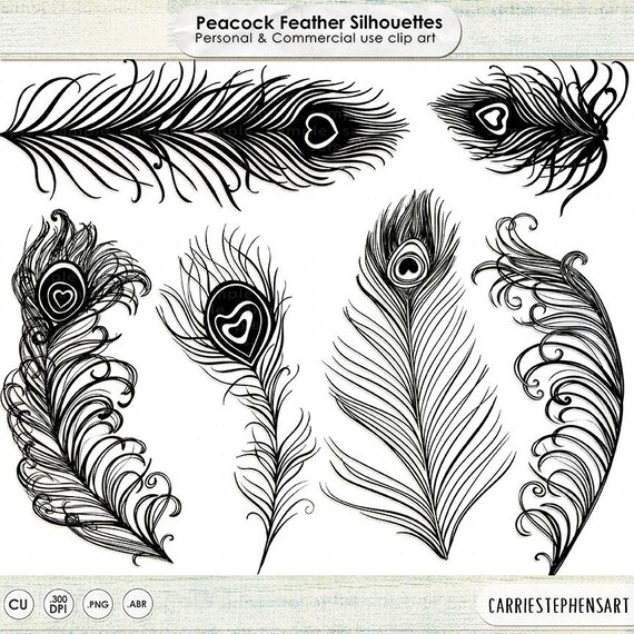 Peacock Feather Clip Art Silhouettes Wedding Invitation Graphics Photoshop Brush PNG Digital Stamps Bird Peacock Feather Clip Art Silhouettes Wedding Invitation Graphics Photoshop Brush PNG Digital Stamps Bird