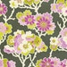 Lottie Da Collection - Fabric by Heather Bailey - Spring in Charcoal - PWHB033