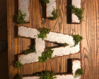 12" Faux metal letters with moss!