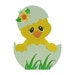 Hatching Chick with Flower Filled Machine Embroidery Digitized Design Pattern - Instant Download - 4x4, 5x7, 6x10