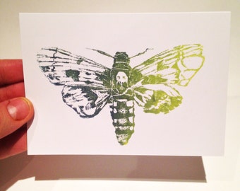 Death-Head Moth Printed Card