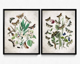 Garden Butterflies Set of 2 - Butterflies Poster - Butterfly Art - Home Decor - Home Art - Kitchen - Kitchen Art