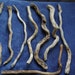 Collection of driftwood pieces. Naturally sculptural and unique.
