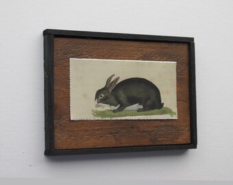 wild rabbits - home decor - "Vintage Rabbit"- country chic - kitchen farmhouse wall art