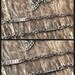 On SALE Ornate delicate 10mm textured bar chain 2.3mm curb chain antique brushed silver plated