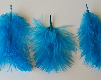 Small Blue Ostrich Feathers