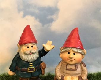 Man and Woman Gnomes Miniature Fairy Garden Gnome Figurines Cake Toppers