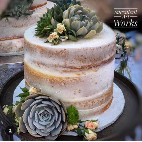 Succulent Wedding Cake Topper Wedding Cake Topper Floral