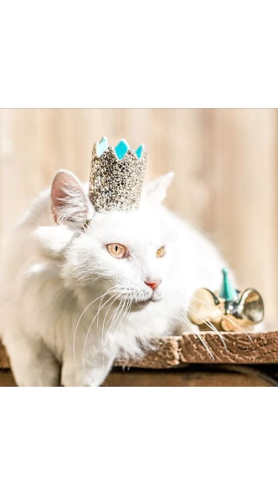 Kitty Crown || Cat Birthday Crown Hat || Animal Birthday Hat