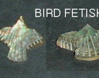 BIRD FETISH (Mother Of Pearl)