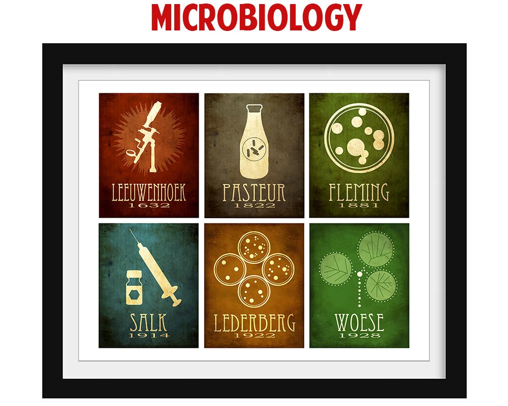 Microbiology Gift Science Art Biology Gift Medical Poster