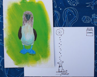 Blue Footed Booby Acrylic Painting Print Postcard