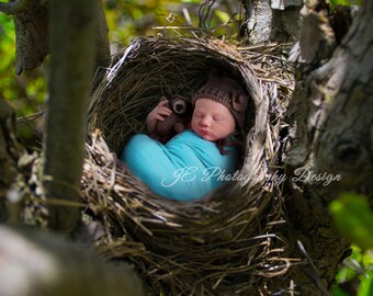 Newborn digital backdrop - Baby Robin's Nest