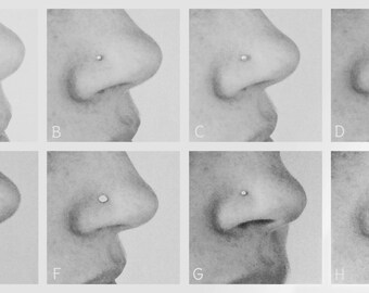 Nose piercings - choose between 8 possibilities!