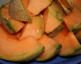 Arancino Cantaloupe Melon, Italian heirloom gardening seeds